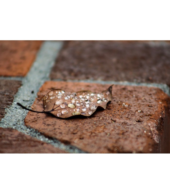 Impermeabilizante Hidrofugante Suelos. .  Impermeabilizante