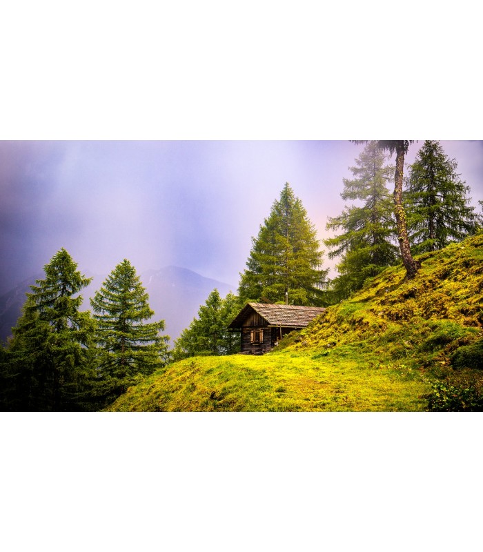 Barniz Montaña Brillante. .  Barnices - Litros: 0.375, 0.750