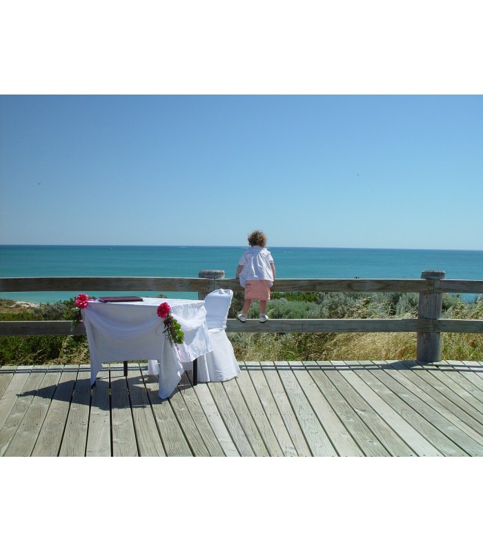 Lasur Protector Tarimas Antideslizante al Agua teka, incoloro