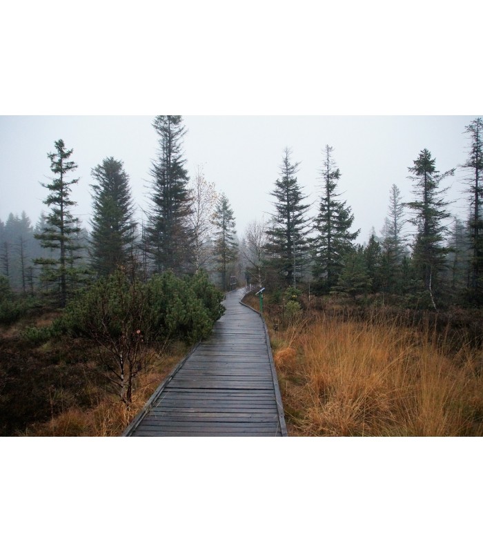 Lasur Protector Tarimas Antideslizante al Agua teka, incoloro