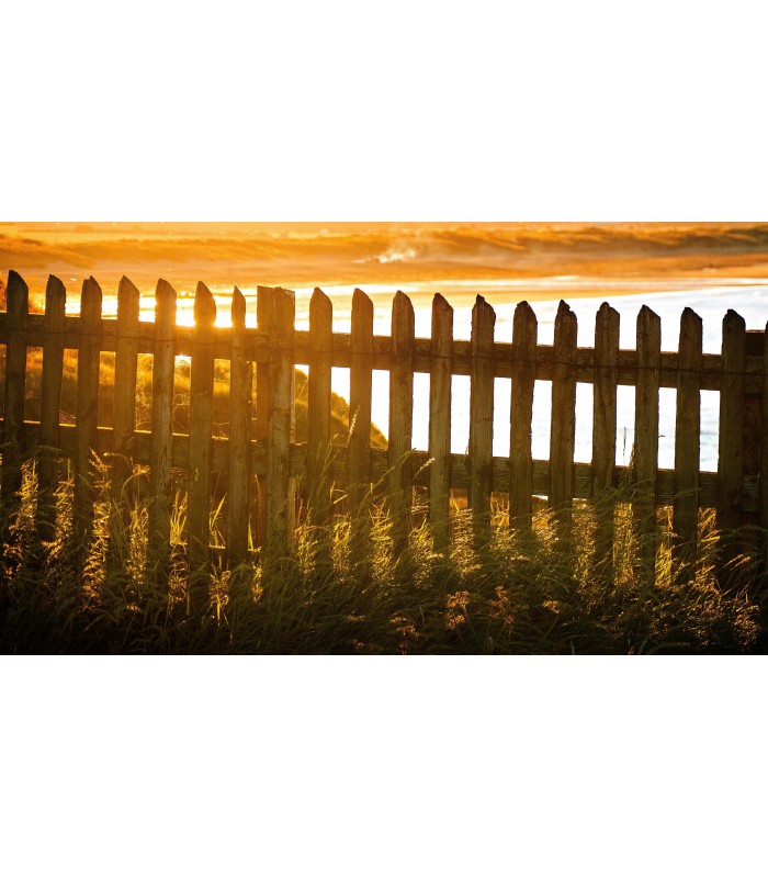 Aceite Saturador de Madera. incoloro, transparente, teka. 