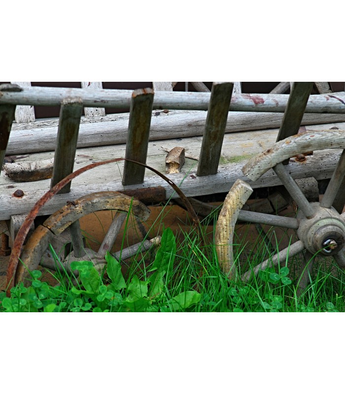 Matacarcoma. Tratamiento para Insectos de la Madera . 
