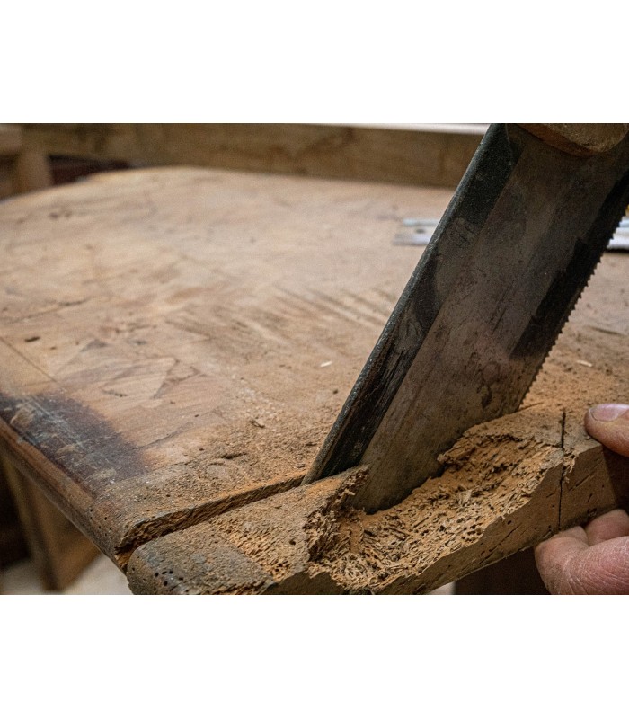 Matacarcoma. Tratamiento para Insectos de la Madera . 