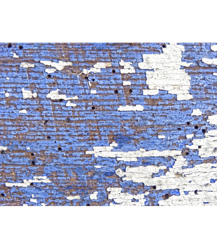 Matacarcoma. Tratamiento para Insectos de la Madera . 