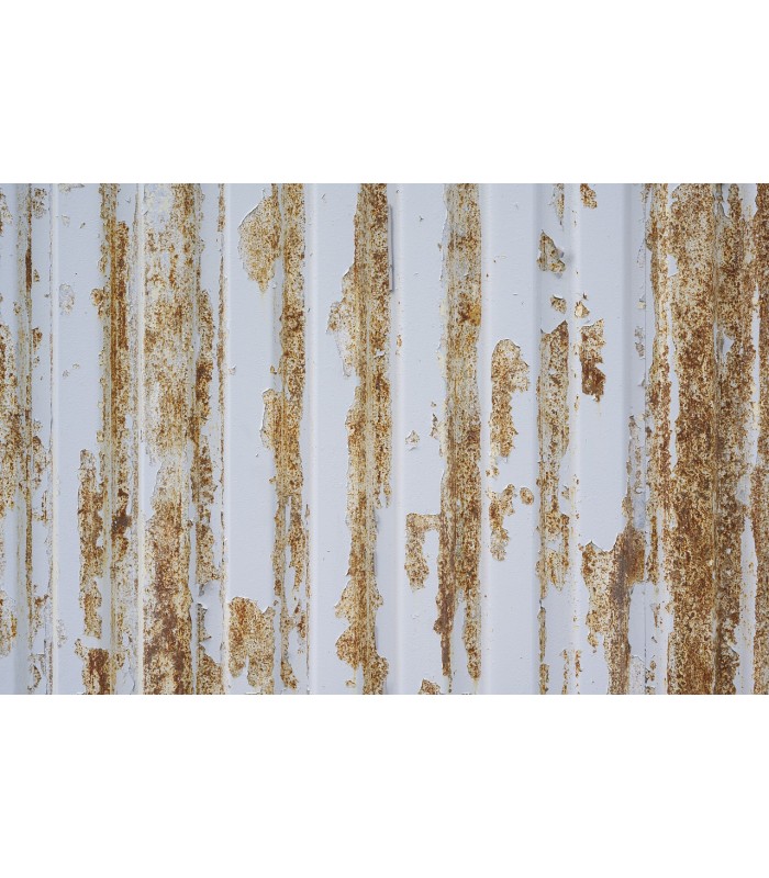 Quitapintura Decapante Liquido. .  Quita pinturas - Litros: 1 