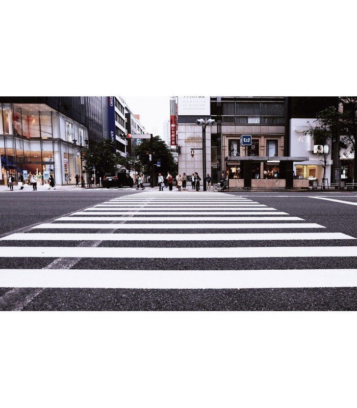 Pintura Señalización Vial blanco, negro, azul, amarillo, rojo. 