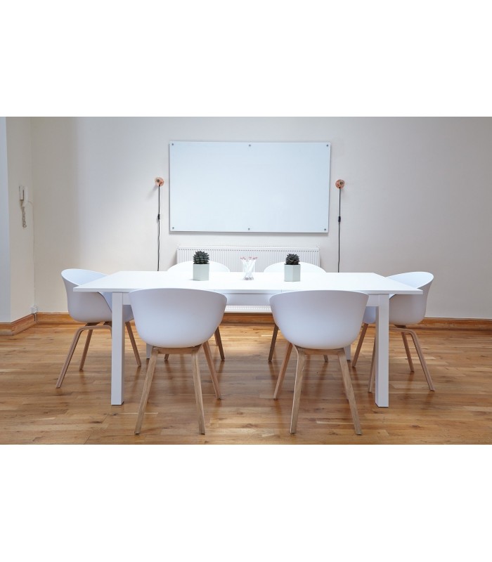 Pintura Antimoho Mate. blanco, ibero, magnum, violeta, rosa