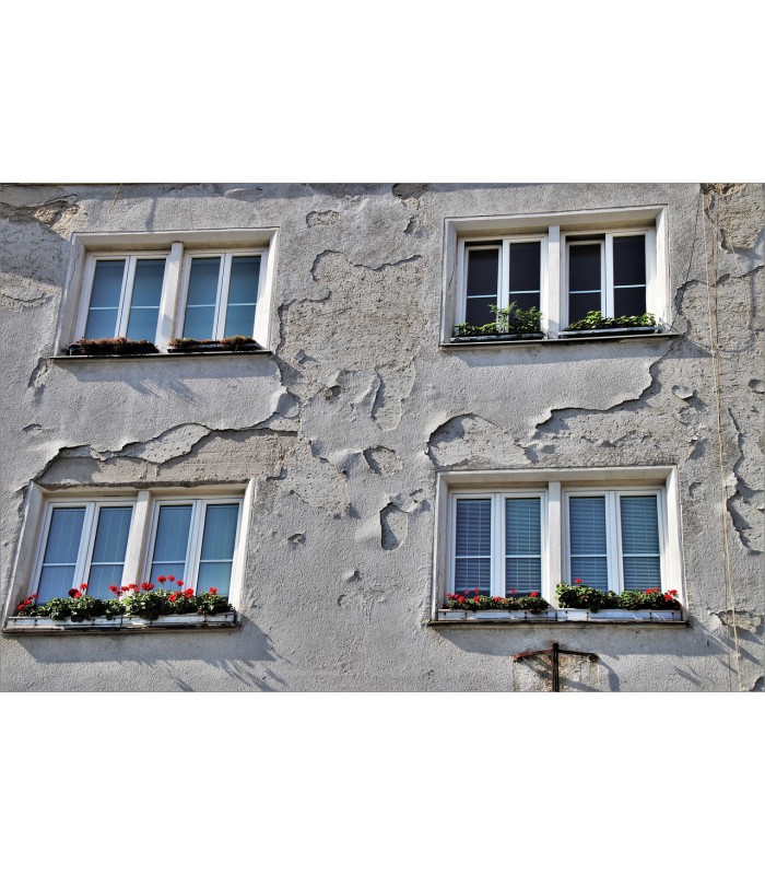 Pintura Antihumedad Antisalitre Blanco .  Pintura Antihumedad -