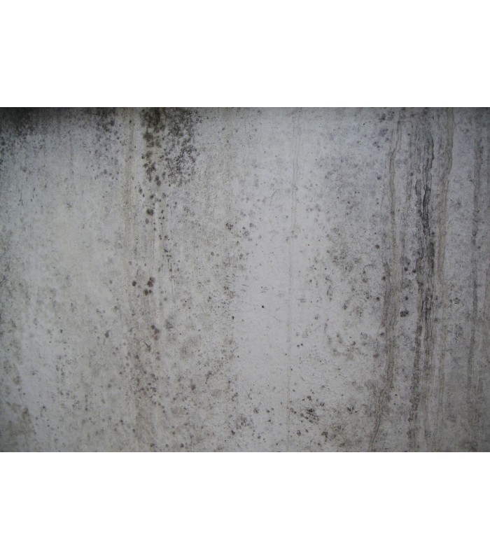 Pintura Cubremanchas Blanco al agua .  Pintura Cubre manchas -