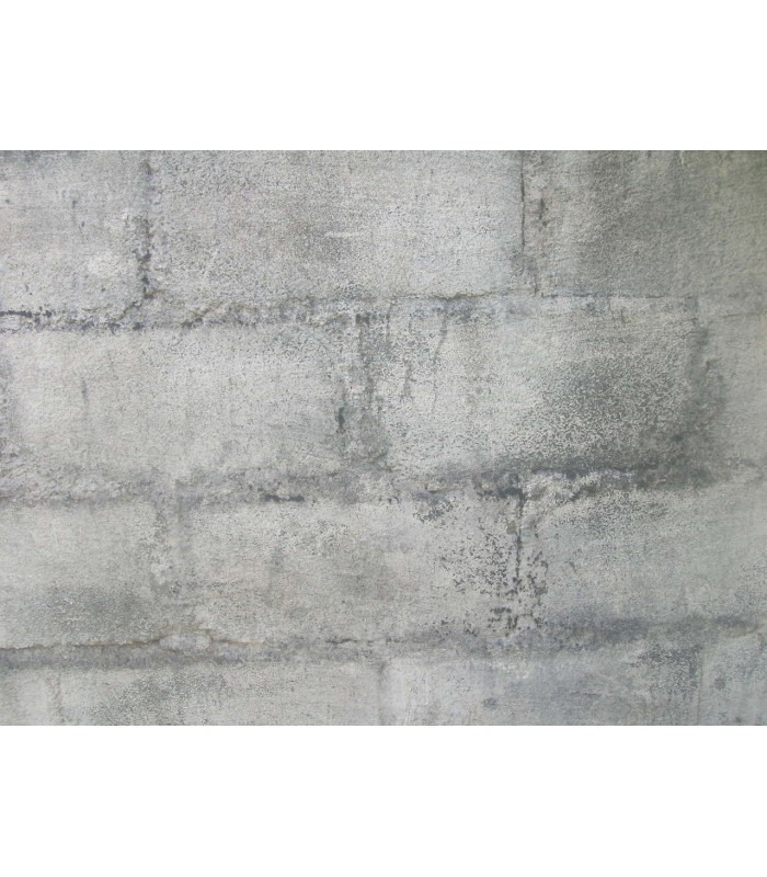 Pintura Cubremanchas Blanco al agua .  Pintura Cubre manchas -