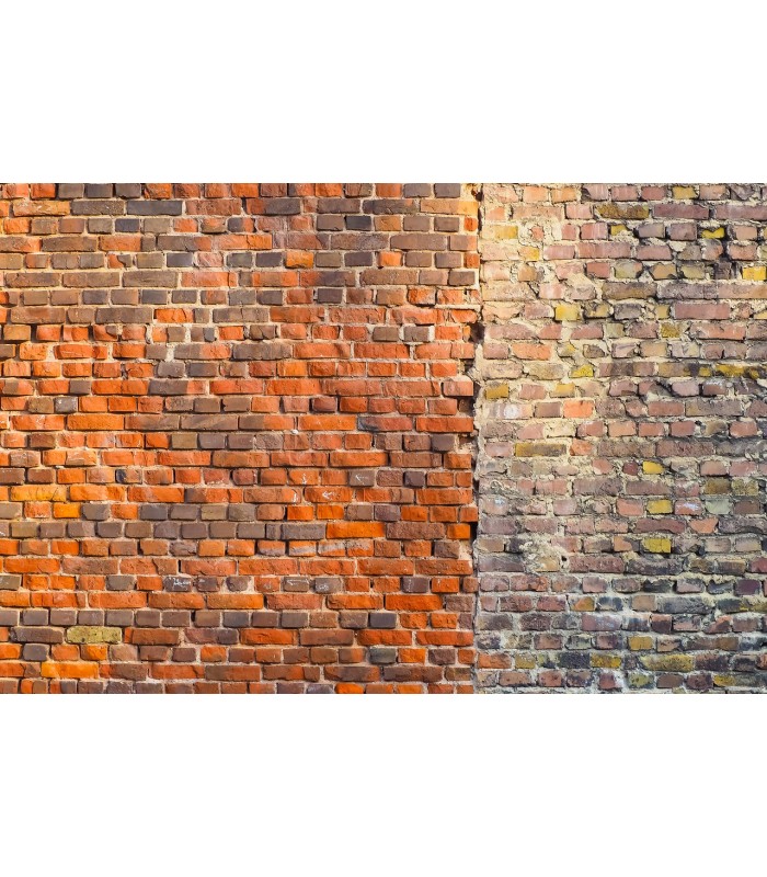 Resina de Unión para Morteros y Yesos .  Fijador de Pintura -