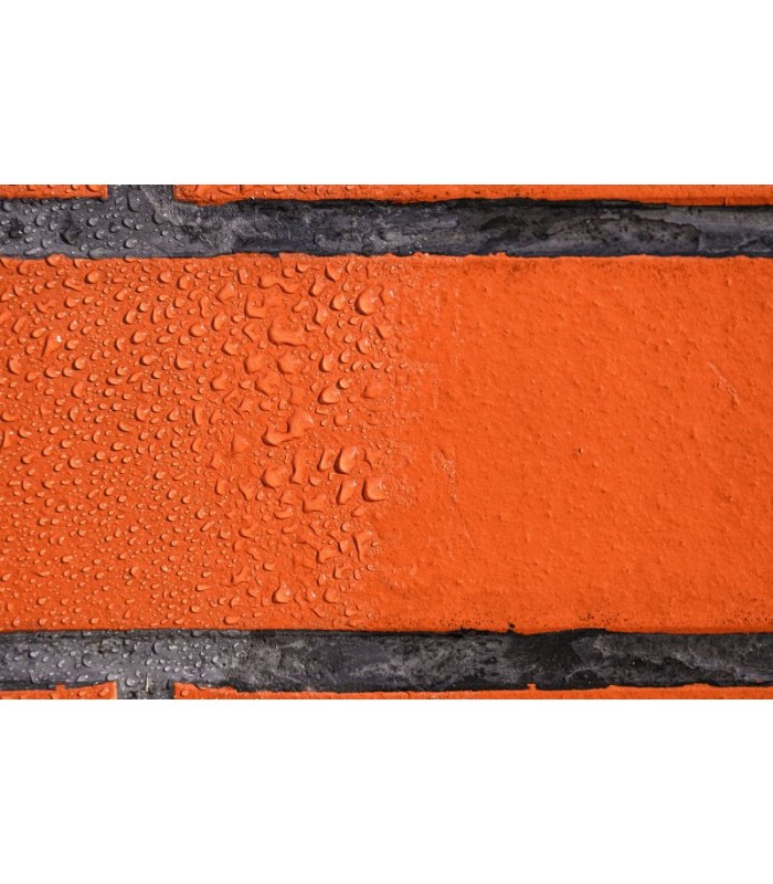 Impermeabilizante Hidrofugante AntimohoTransparente . 