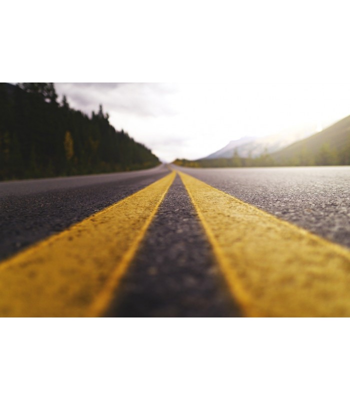 Pintura Vial al Agua. Indicada para Pasos de Peatones