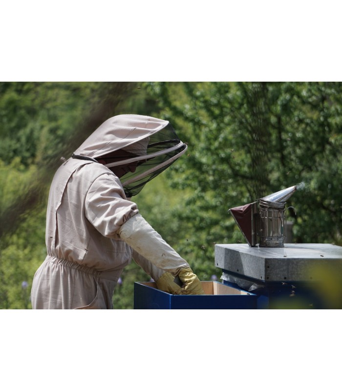 Pintura Colmenas al Agua, acabado Mate. Especial para