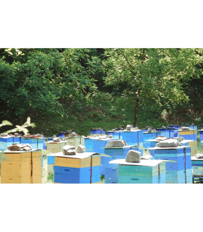 Pintura Colmenas al Agua, acabado Mate. Especial para