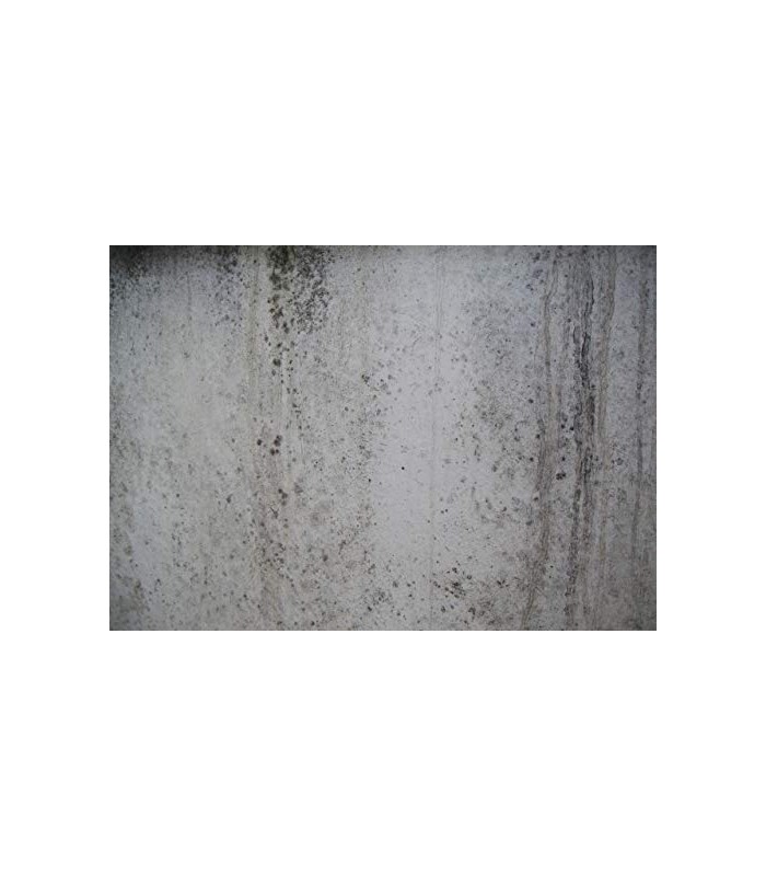 Impregnante Paredes Húmedas. Imprimación sellante incolora al