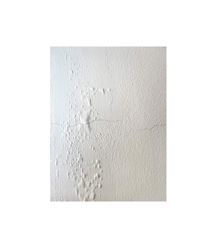 Impregnante Paredes Húmedas. Imprimación sellante incolora al