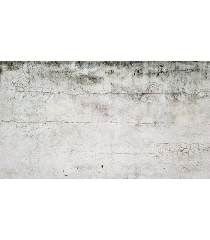 Impregnante Paredes Húmedas. Imprimación sellante incolora al