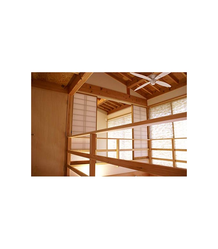 Lasur Protector Mate incoloro, transparente, teka, castaño