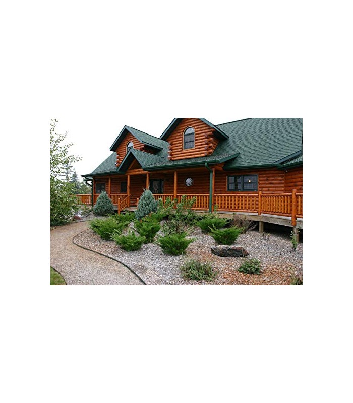 Aceite Teca Muebles al Agua teka, incoloro, transparente. 