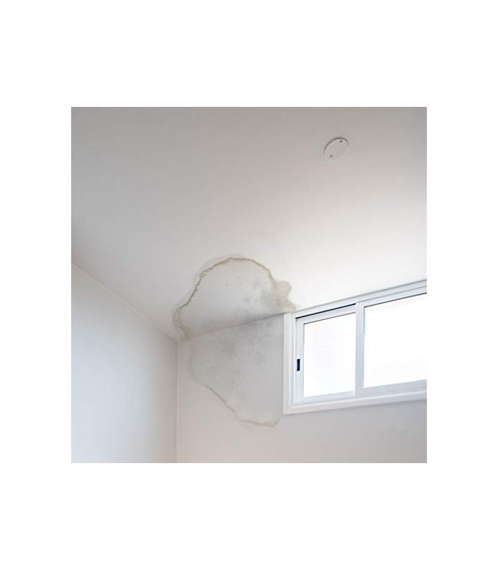 Pintura Anticondensación - Antihumedad - Antimoho blanco