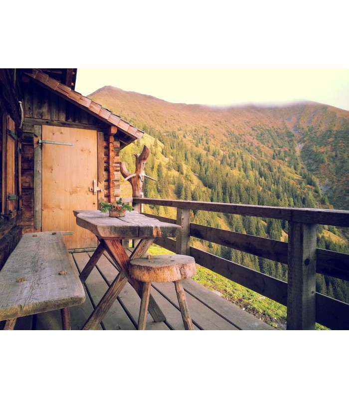 Imprimación Fondo Bloquea Taninos .  Selladora para Madera -