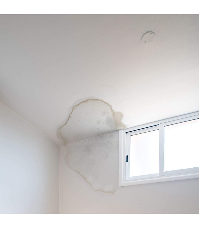 Pintura Antihumedad Mate Blanco .  Pintura Antihumedad -