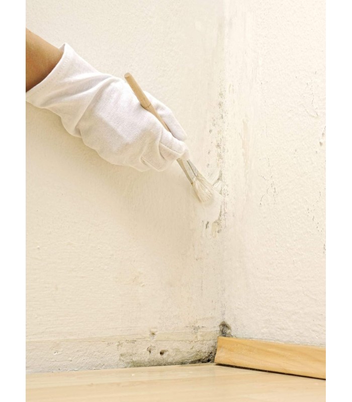 Pintura Antihumedad Mate Blanco .  Pintura Antihumedad -