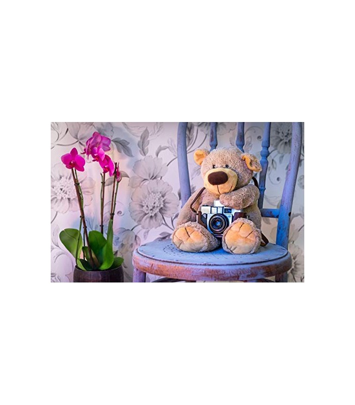 Pintura Tiza - Chalk Paint al Agua Mate. Renueva tus muebles