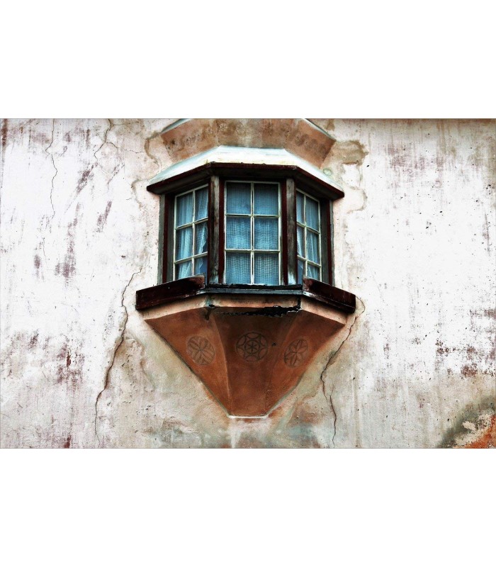 Sellador Fijador al Agua .  Fijador de Pintura - Litros: 5, 1 