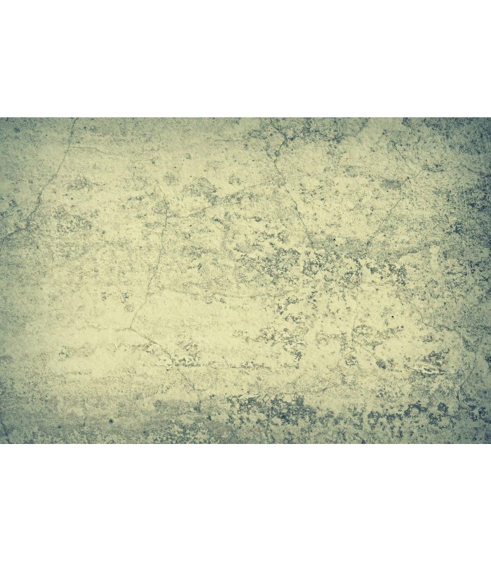 Sellador Fijador al Agua .  Fijador de Pintura - Litros: 5, 1 