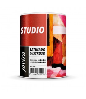 PINTURA SATINADO LUSTROSO ANTIMOHO. Protege y decora paredes y