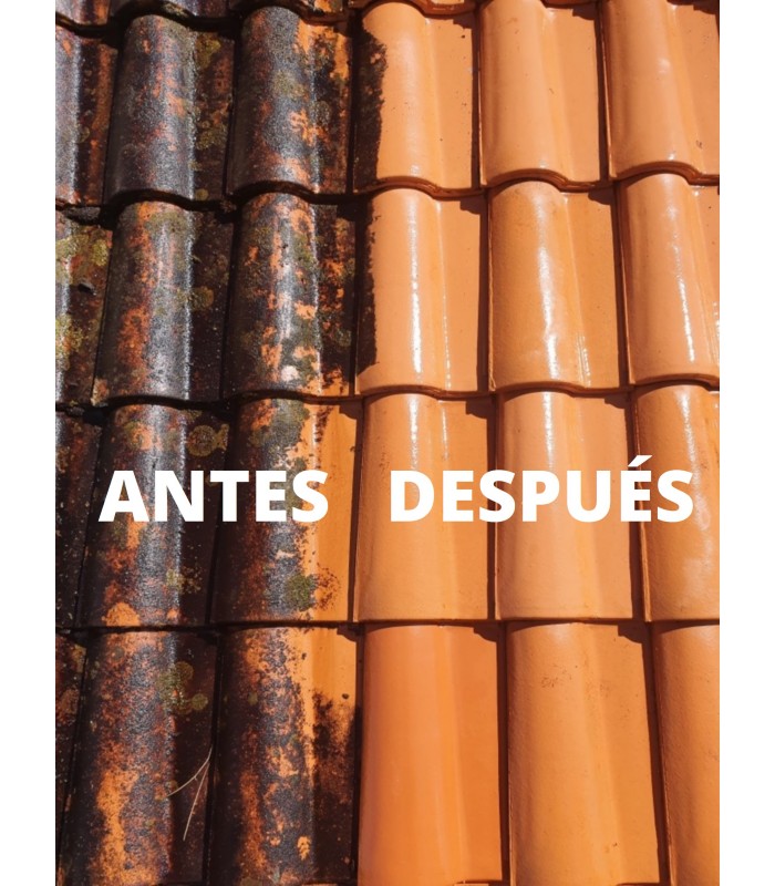 Limpiador de Moho .  Limpiador Antimoho - Litros: 0.500, 1, 5 