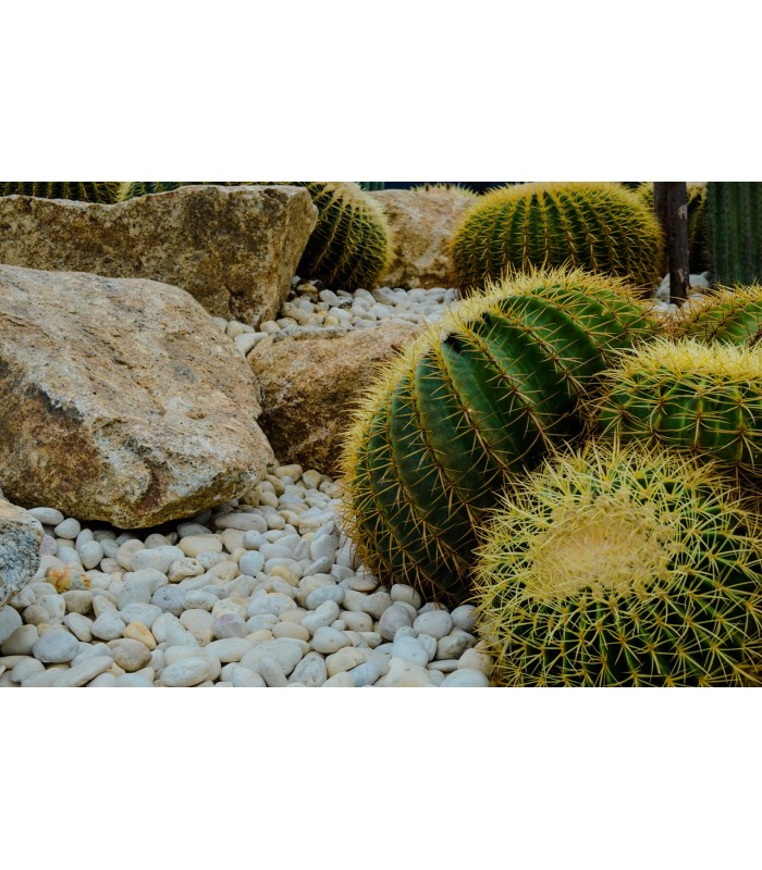 AGLOMERANTE DE ÁRIDOS Resina para la compactación y fijación de