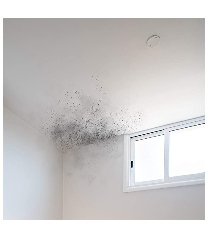 BARRERA ANTIHUMEDAD AL AGUA 2 COMPONENTES. Protege fachadas