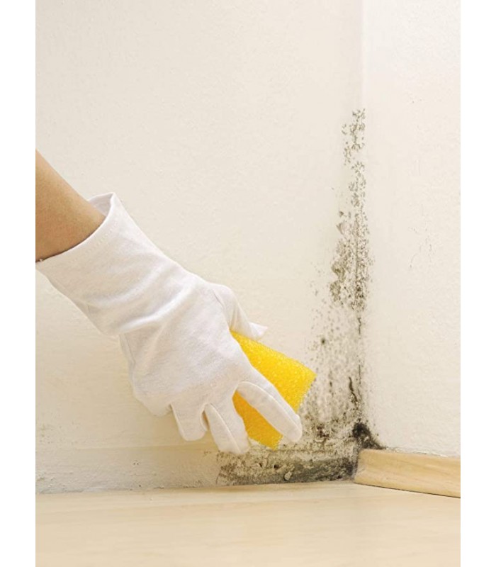 BARRERA ANTIHUMEDAD AL AGUA 2 COMPONENTES. Protege fachadas