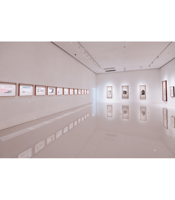 PINTURA PAREDES Y TECHOS Pintura plástica mate indicada