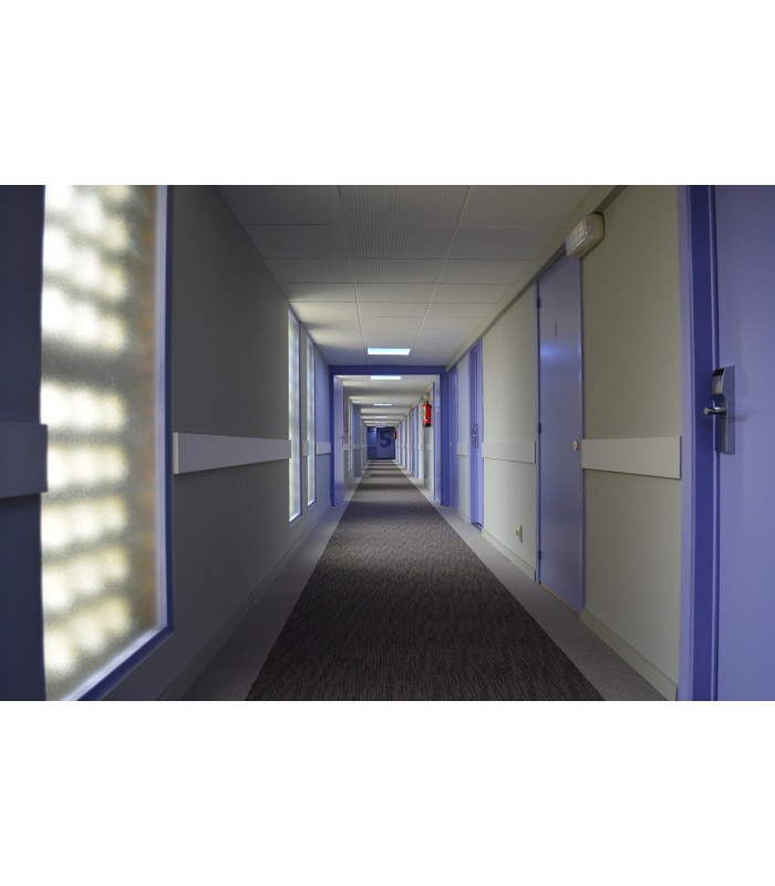 PINTURA SATINADO LUSTROSO ANTIMOHO. Protege y decora paredes y