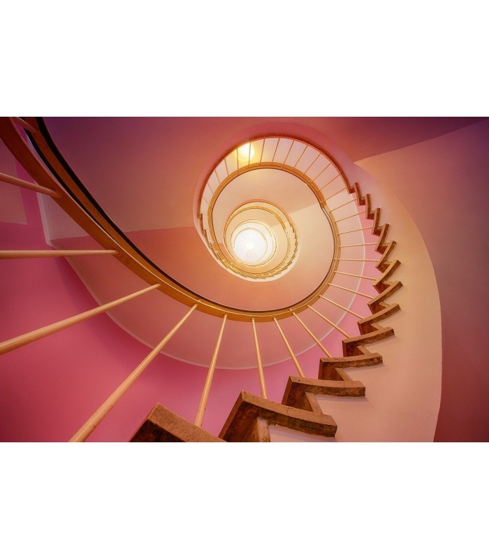 PINTURA SATINADO LUSTROSO ANTIMOHO. Protege y decora paredes y