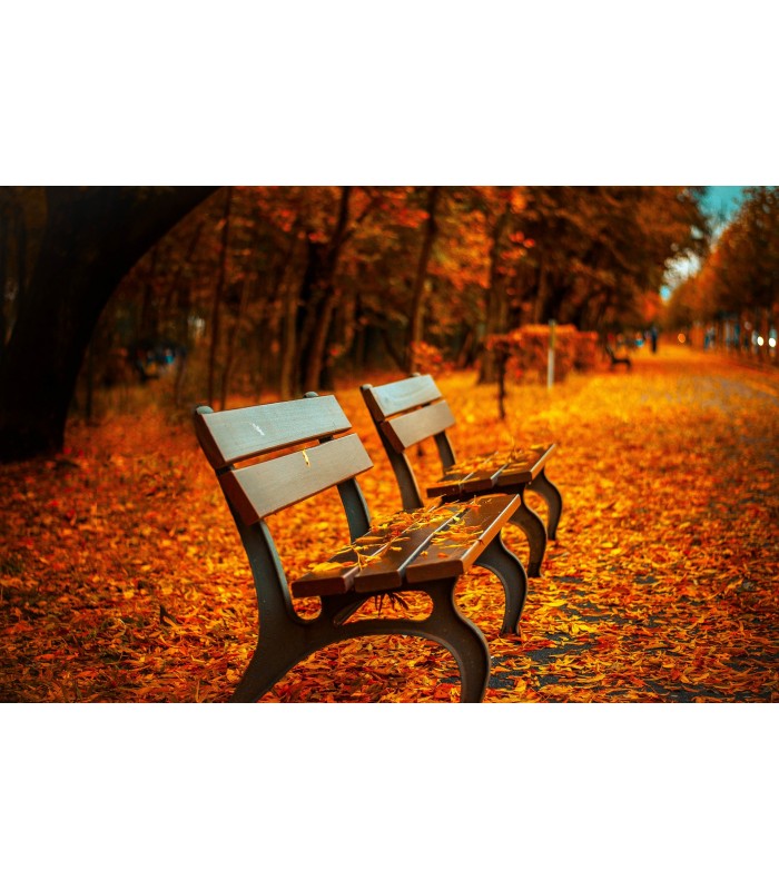 BARNIZ INTEMPERIE AL AGUA Para el cuidado y la decoración de
